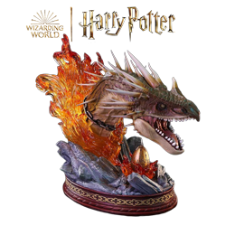 Harry Potter Harry Potter
