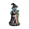 Sage 17.5cm Witches New Arrivals